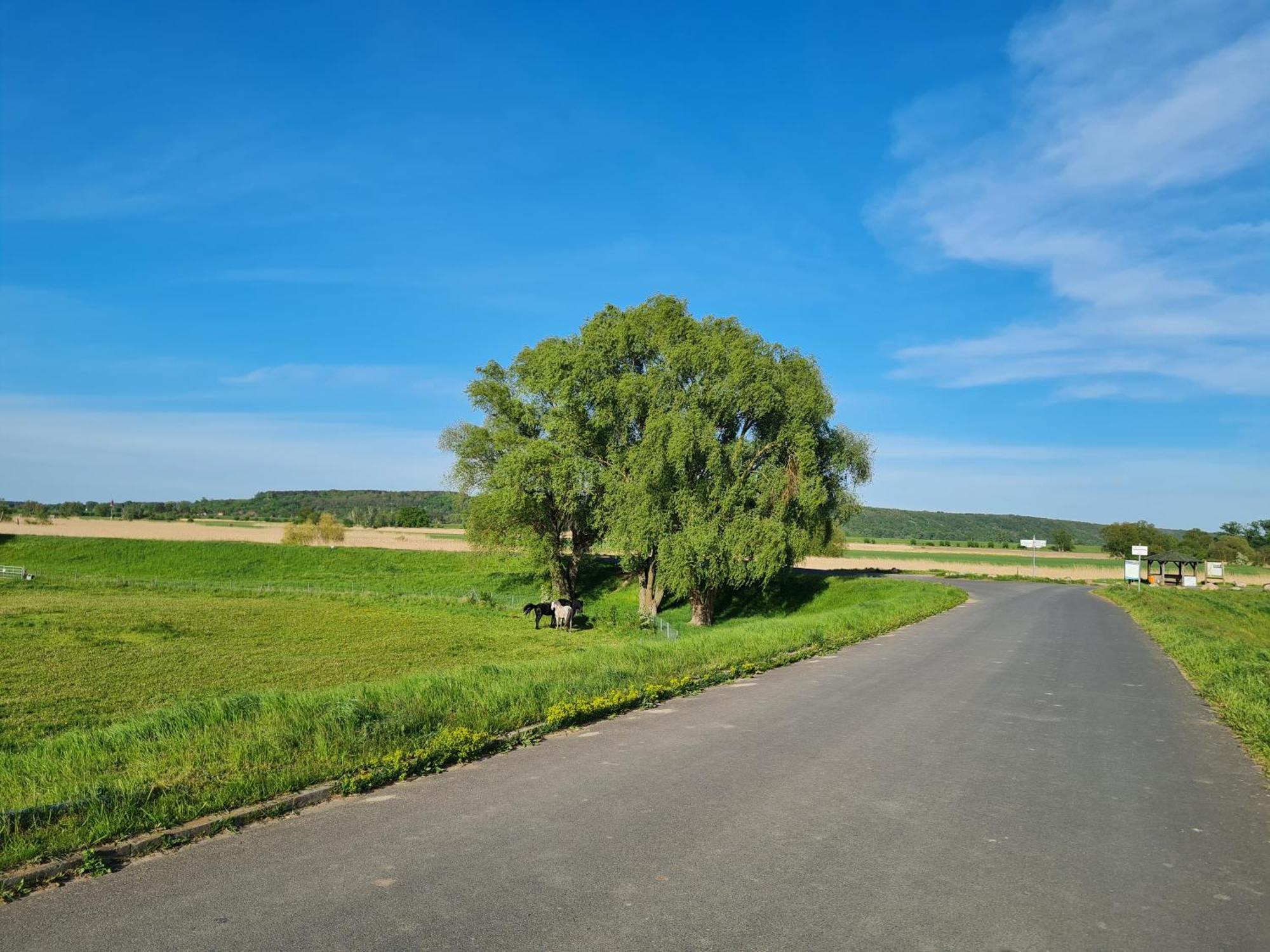 Ferienwohnungen Stolzenhagener 7 Lunow-Stolzenhagen Экстерьер фото